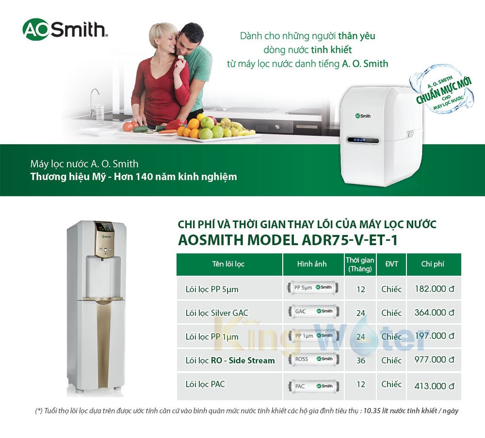 Thời gian và chi phí thay lõi của máy nóng lạnh Aosmith V-ET-1